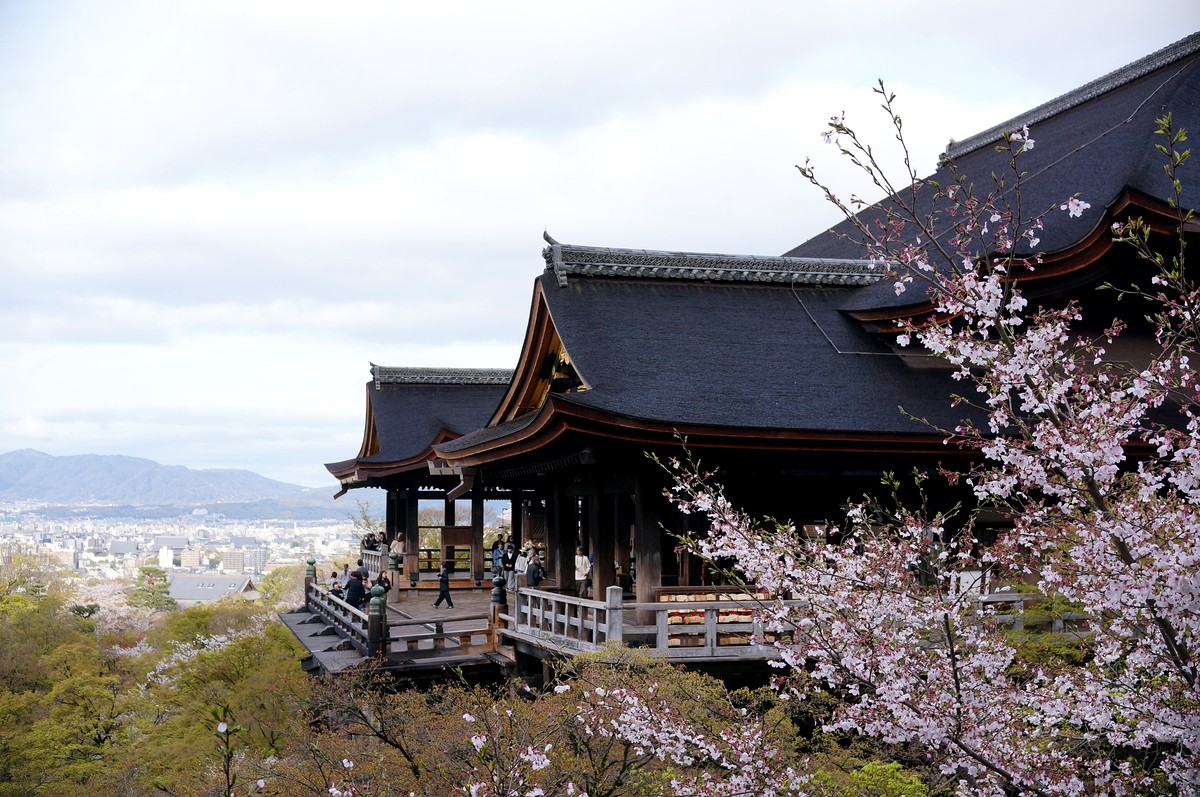 清水寺 本堂と桜・京都市街の眺望